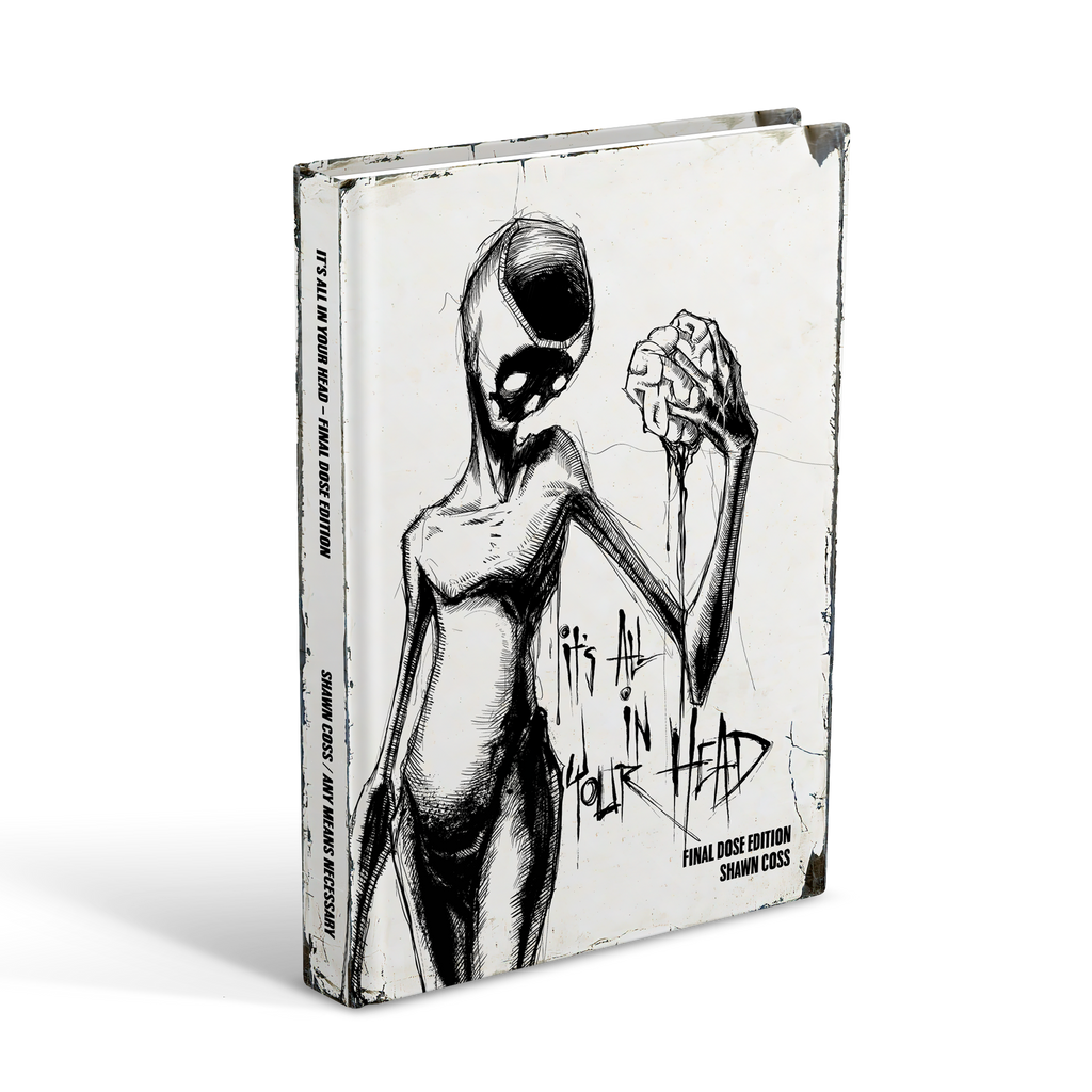 Vol 3 - It's All In Your Head Art Book